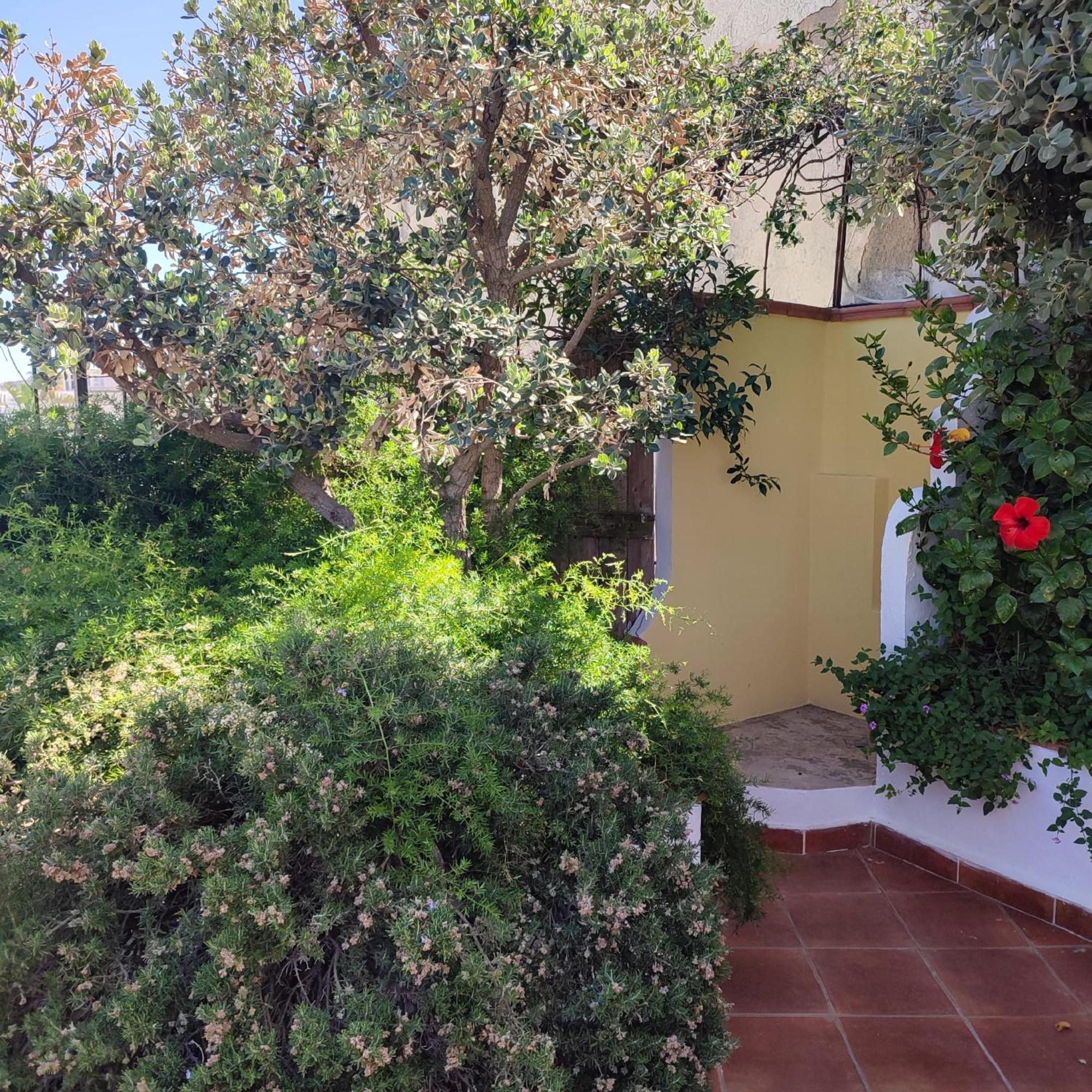 Hotel Villa Verde Forio di Ischia Zewnętrze zdjęcie