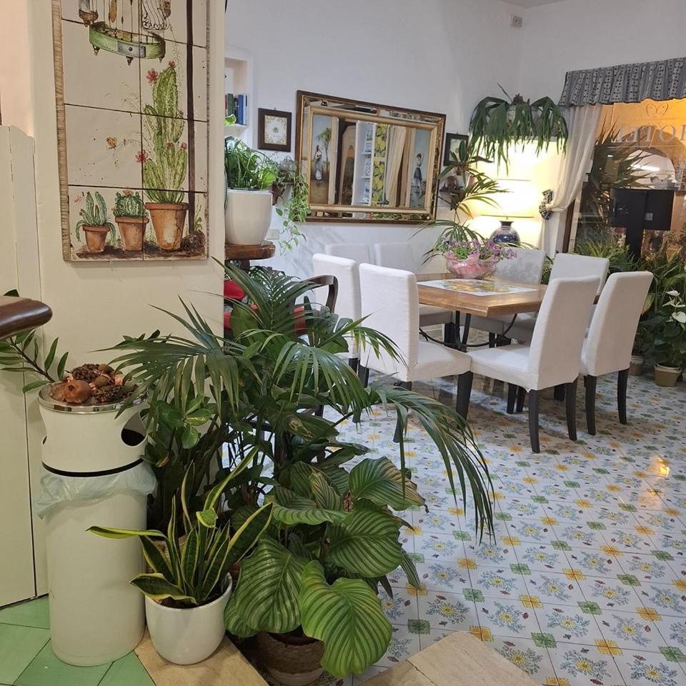 Hotel Villa Verde Forio di Ischia Zewnętrze zdjęcie